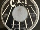 DOO WOP 45 FIVE DISCS CHEER 4002 (1st Press) NEVER LET YOU GO/THAT WAS THE TIME