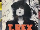 t.rex slider 90633 Shrink Ex Italy Red Lp