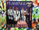 The Flamingo Serenade 