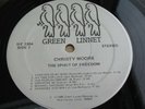 Christy Moore THE SPIRIT OF FREEDOM 1986 US LP Green Linnet SIF 3304 NEAR MINT