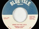 Hard Rock Psych Fuzz 45 - Fear Cay - Back In The U.S.A. - Blue Isle - obscure