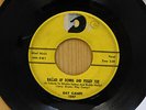 Ray Campi teen RnR 45 Ballad Of Donna And Peggy Sue bw The Man I Met on D