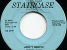 ODESSEY*ADIE'S GROVE* OBSCURE GARAGE*FUZZ*UNCOMPED*LISTEN