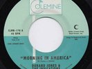 Durand Jones & The Indications Morning In America / Cruisin' To The Park 7