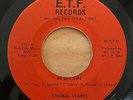 ETERNAL FLAMES - Hi Off Life - RARE FUNK 45 // E. T. F. Records PRIVATE SOUL VG+