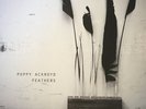 Poppy Ackroyd – Feathers [12'' VINYL] BRAND NEW, NOT SEALED