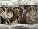 KATE BUSH 2 LPs THE DREAMING 1982 & NEVER FOREVER 1980 GATEFOLD BOTH EX