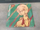 Neon Genesis Evangelion Finally Vinyl Record Soundtrack 2 LP Pink Figure Anime
