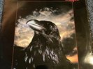 The Stranglers- The Raven. Porky press- great con