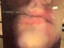 PJ Harvey – Dry LP - 2013 UK Pressing Too Pure Label