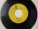 Little Flaytus & Dream-Airs DOO WOP 45 Forever In Love / Buy A Van ANTRELL MINT-