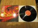 Stooges Fun House German LP Elektra ELK 42 055 1977 re-issue near mint Iggy Pop