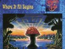 The Allman Brothers Band - Where It All Begins - Music on Vinyl LP