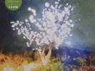 The Notwist - Vertigo Days - Green Vinyl OVP Vinyl