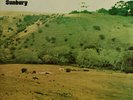 Aztecs/Billy Thorpe LIVE  AT SUNBURY Australian ORIGINAL Pressing 2x LP + TENT