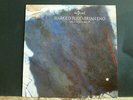 HAROLD BUDD & BRIAN ENO  The Pearl  LP  UK 1st press 1984  Ambient  Electronic