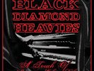 Black Diamond Heavies - A Touch of Some One Else`s Class Vinyl VINYL NEUF