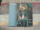 The Delgados   Hate   Vinyl Album