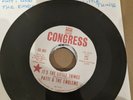 Patti and the Emblems - It's the Little Things  Double sided Carver MINT