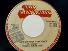 Israel Vibration 