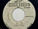 Voice Roys (Viceroys) 