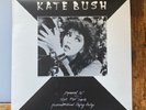RARE Vtg 1982 Kate Bush THE DREAMING Promo Special 12