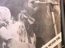THE KINKS MISFITS NEVER DIE LP ROCK