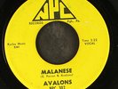 AVALONS: malanese / begin the beguine NPC 7