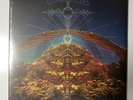 Chris Robinson Brotherhood - Big Moon Ritual vinyl LP record NEW SEALED CRB