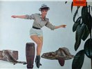 Bert Kaempfert And His Orchestra* - A Swingin' Safari (LP, Album) (Very Good Plu