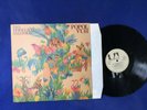 1975 vintage PROG ROCK record POPOL VUH das hohelied salomos UAS 29781 germany