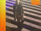 Sting - The Bridge (Vinyl)
