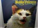 Bobby Valentin * El Gato * Salsa Lp Vinyl Record 1980 * Puerto Rico