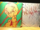 Evangelion Finally 2LP Pink Vinyl & Hikaru Utada One Last kiss Crystal Blue