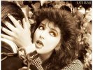 Kate Bush - The Dreaming NEW Sealed Vinyl LP Album