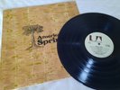American Spring AMERICAN SPRING LP UK press **STUNNING Vinyl** Beach Boys s/t