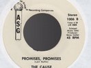 Orig THE CAUSE Hard Times (In The City) / Promises, Promises 45 ASG Soul Funk EX