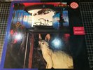 Midnight Oil - Species Deceases LP Vinyl 1985 EX12023