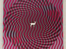 Deerhunter   Cryptograms / Flourescent Grey Double LP Vinyl