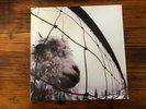 Pearl Jam Vs. - 2011 Reissue - Vinyl Record - NM/NM