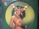 CHER Take Me Home LP Casablanca NBPIX7133 US 1979 VG+ PICTURE DISC 