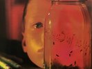 Alice In Chains -Jar Of Flies/Sap Reissue 180 Gram Audiophile Gatefold Vinyl NEW