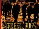STREET DOGS 