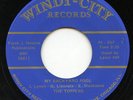 Rare Country Song Poem 45 - The Toppers - My Backyard Pool - Windy-City # 45-557