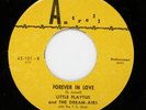 LITTLE FLAYTUS & DREAM-AIRES Doo Wop BROWN WAX Forever In Love bw Buy A Van HEAR