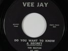 Rock 45 BEATLES Do You Want To Know A Secret VEE JAY HEAR