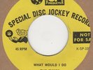 Tymes What Would I Do SP DEMO (blue vinyl) Soul Northern Motown
