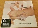 SONIC YOUTH A THOUSAND LEAVES DOUBLE 180 GRAM VINYL LP NEW & SEALED