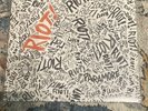 Paramore Riot  Vinyl Orange Urban Outfitters Exclusive Rare /3000 Clean