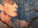 DAVID BOWIE - LIVE IN JAPAN 1990 - 3 LP SPLATTERED VINYL - 500 ONLY - RARE